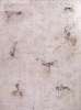 Image of Elementos en base de puntos II